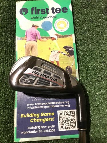 Callaway Ladies Big Bertha OS 6 Iron Recoil ES 450 F1 Graphite Shaft (38)