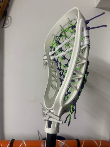 STX Raptor Head (New)