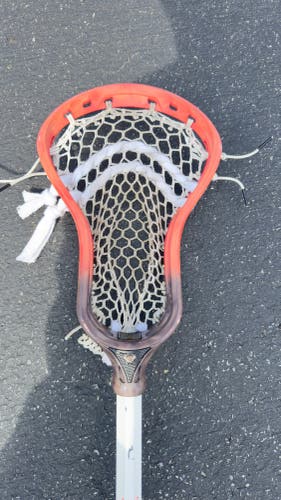 Adult ECD Stick dna 2.0 on dragon fly shaft