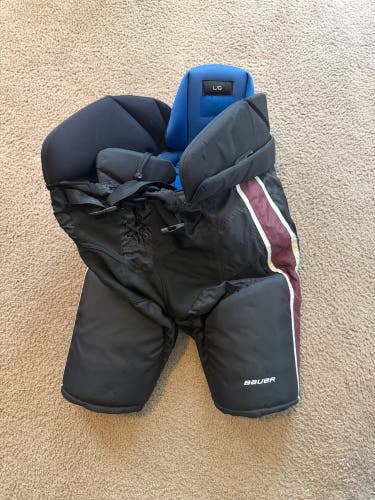 Senior Large Bauer Nexus Hockey Pants (Used)