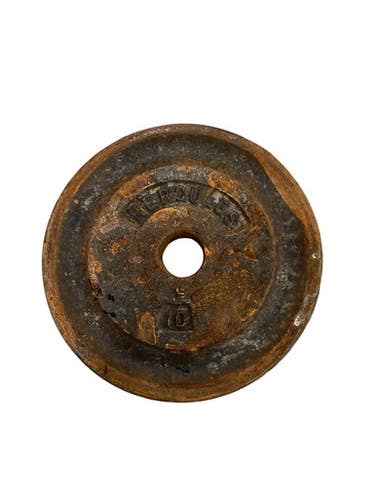 Used Standard Plate (Each) 10 lb 11347-S000266415