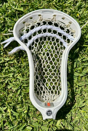 Warrior Formula Used Stringing Head (Used)
