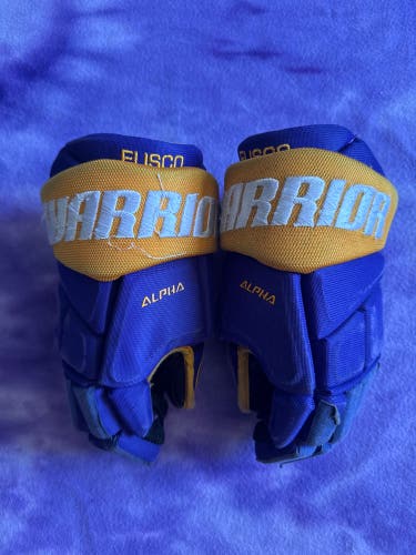 Blue Junior Warrior Alpha Gloves 10" (Used)
