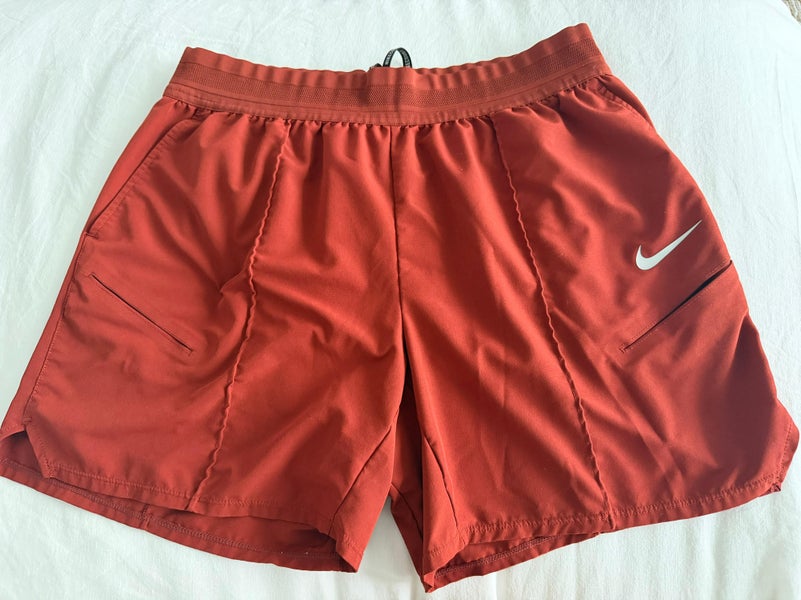 Large Men's Nike Shorts (Used)