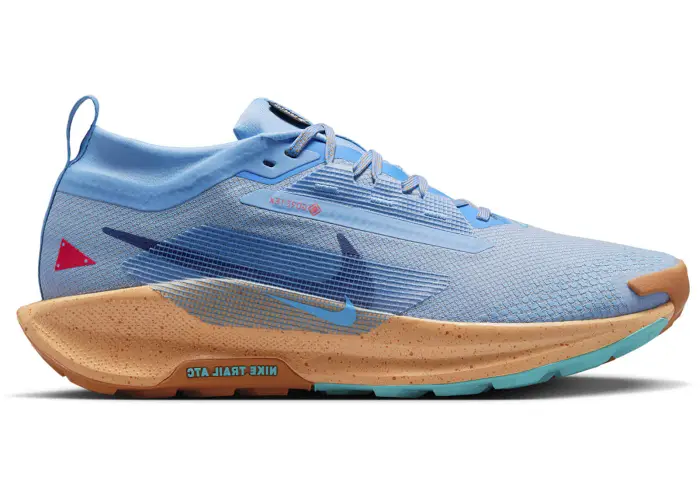 Size 10 - Nike Pegasus Trail 5 Gore-Tex Blue Beyond Copper Moon Monarch Blue Voi