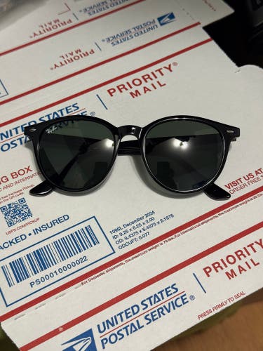 Rayban RB4305 53mm Sunglasses
