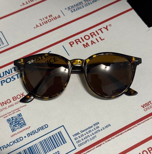 Rayban RB4305 53mm Sunglasses