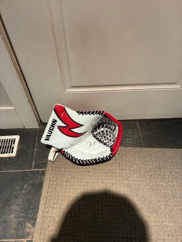 Cam Johnson ECHL pro return Vaughn glove