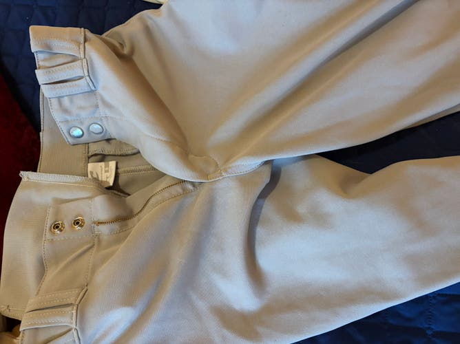 Gray Men's Small Adult Champro Game Pants (Used)