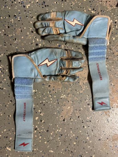 Bruce Bolt Youth Large Batting Gloves (Used)