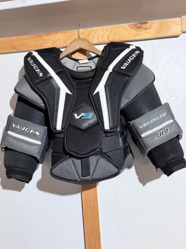 Large 2021 Vaughn Velocity V9 Goalie Chest Protector (Used)