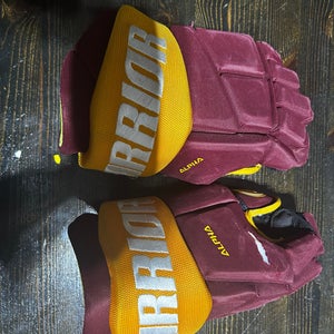Warrior Alpha Gloves 13" (Used)