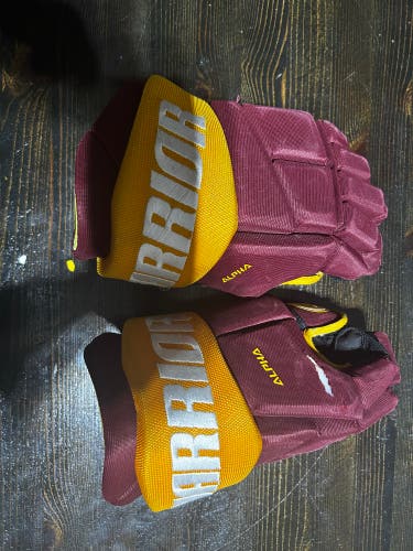 Warrior Alpha Gloves 13" (Used)