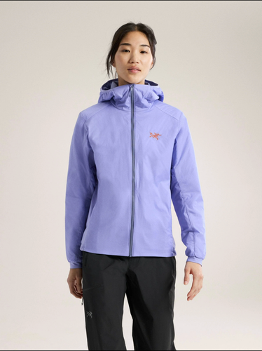 Women's Arc'teryx Atom Hoody, S - Great Condition