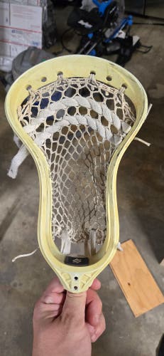 StringKing Mark 2F Head (Used)