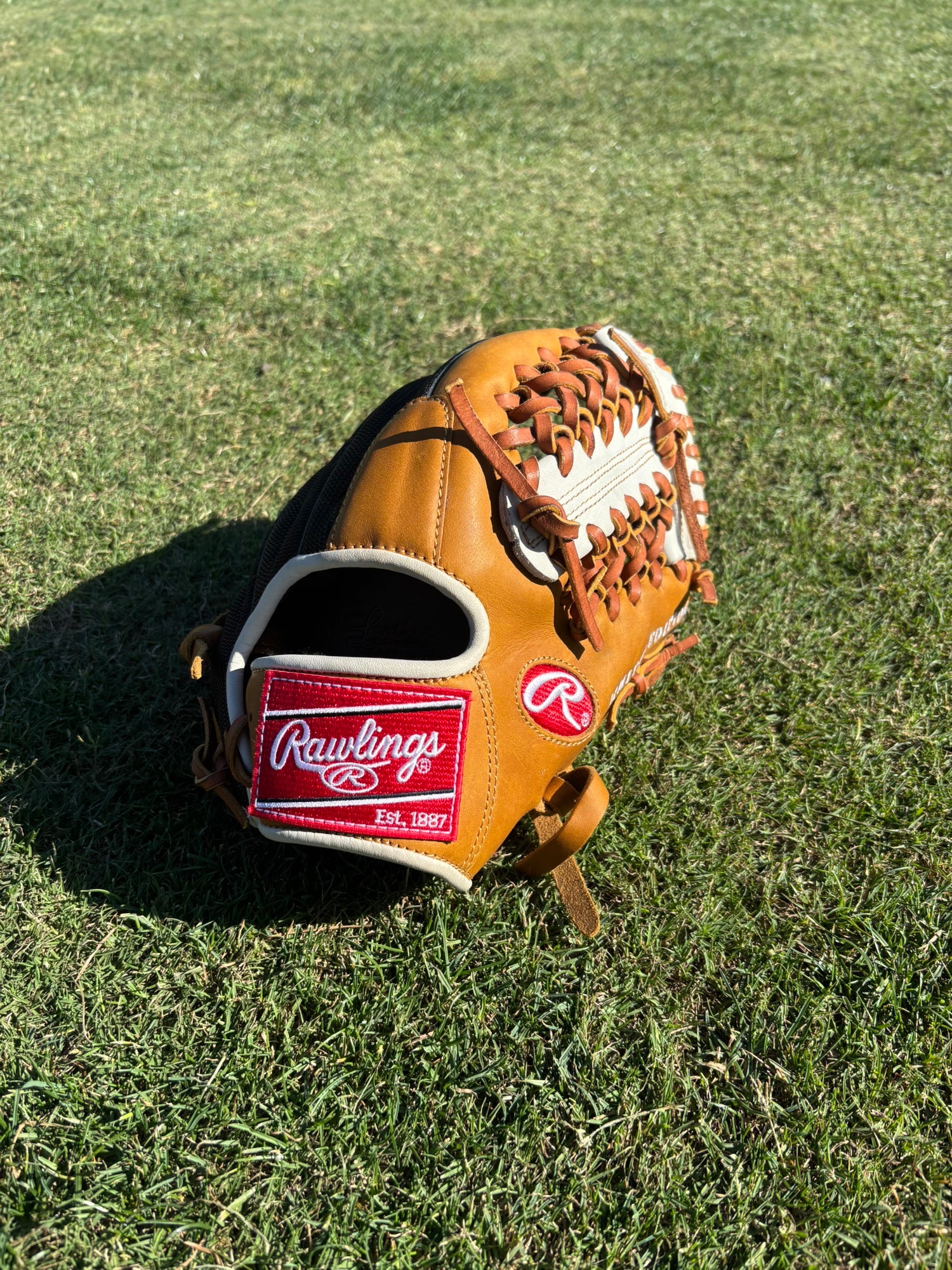 Trapeze Rawlings Baseball Gloves | New and Used on SidelineSwap