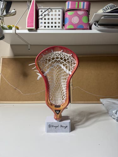 ECD DNA (New - Read Description)