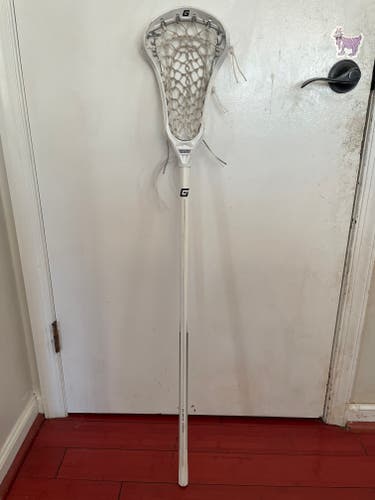 Gait Whip Stick (Used)