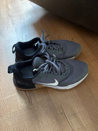 Men's Size M 7.0 (W 8.0) Nike Dunk Low Shoes (Used)