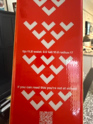 Kid's 2024 Black Crows Camox Birdie 164 cm All Mountain Skis Without Bindings (New)