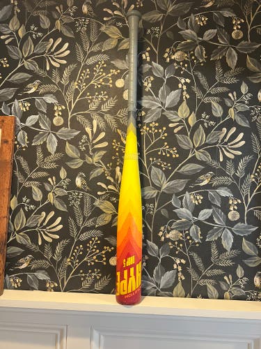 2024 Easton Hype Fire Composite USSSA Certified Bat (-5) 26 oz 31" (Used)