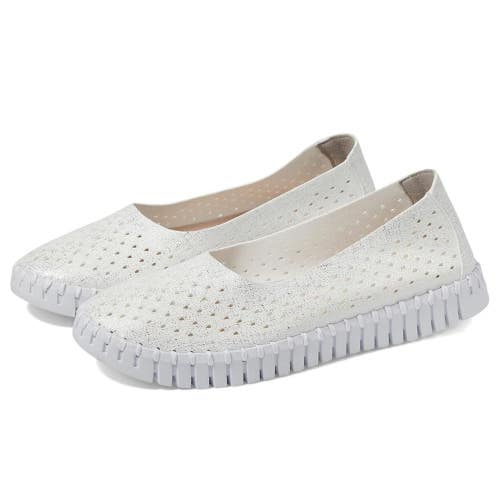 Ilse Jacobsen Tulipu 0026 Ballet Flat Women's White Perforated Slip On NCZ124