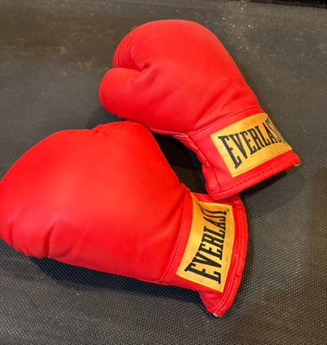 Everlast men’s boxing gloves like new