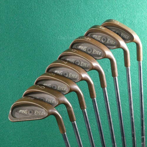 Ping Eye 2 BeCu Copper Black Dot 3-PW Iron Set Karsten ZZ-Lite Steel Stiff