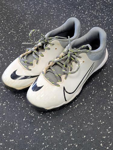Used Nike DIAMOND BB/SB Cleats Grey Junior 02.5 11849-S000038397