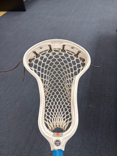 Warrior Formula Head