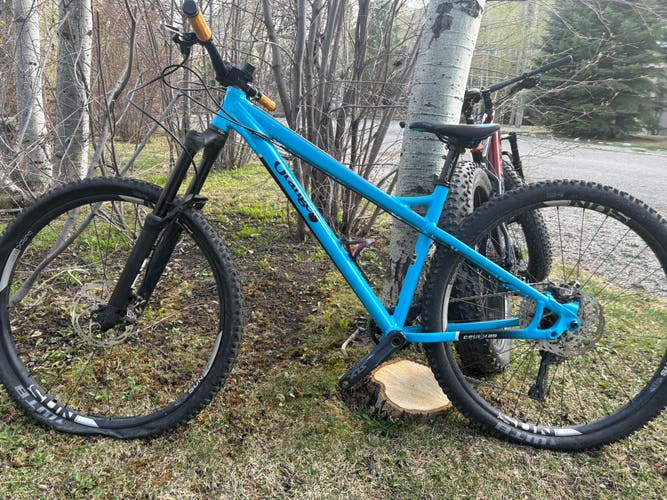 Mountain Bike 17" (Used)
