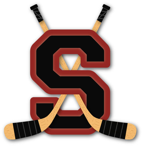 Bundle 2 sticks P28M | 85 Flex NEW! Senior CCM XF Ghost + Warrior Alpha LX Pro Stock Sticks