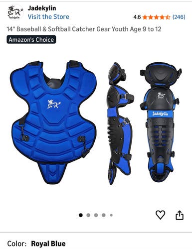 Catcher's Leg Guard (Used)