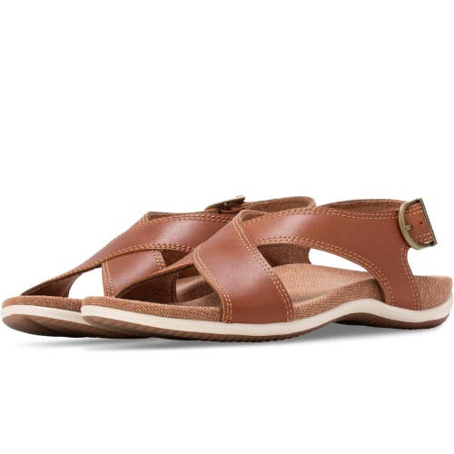 Eastland 1955 Edition Sandals Women's Brown Leather Adjustable Strap NCZ19
