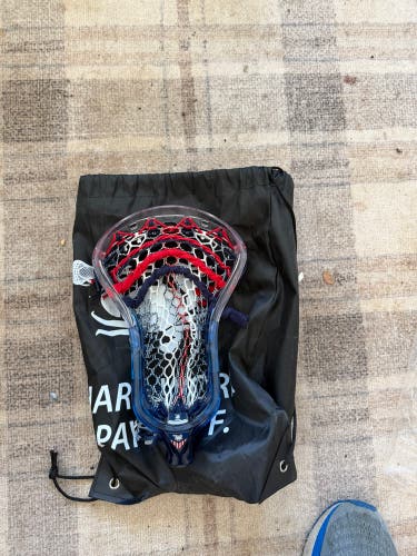 2024 Limited Edition ECD Ion Head (New)