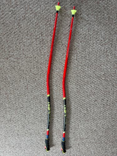 50in (125cm) Leki WORLD CUP GS 3D Racing Ski Poles (Used)
