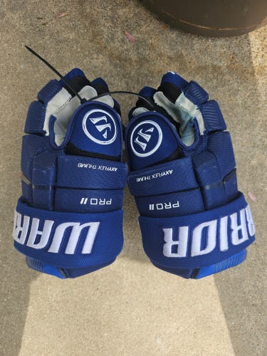Warrior Pro Series II Gloves 14" (Used)