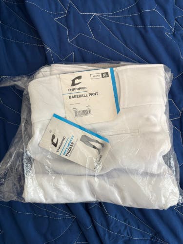 Boys XL Youth Champro Game Pants (New)
