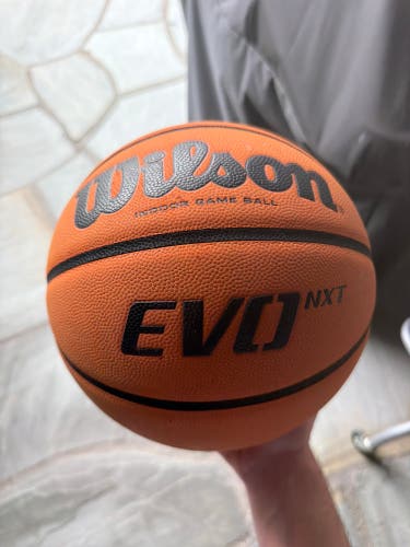 Men's Wilson Basketball (Used)
