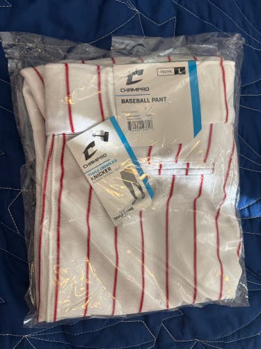 Large Youth Champro Game Pants (New)