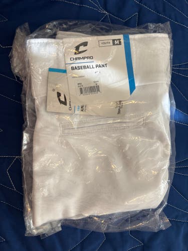 Medium Youth Champro Game Pants (New)