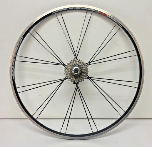 Bontrager Race 10-Speed 24-Bladed Spoke Black Aluminum 622x15/700C Rear Wheel