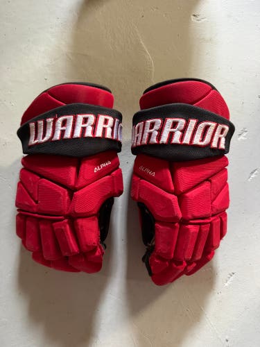 Warrior Alpha Pro Gloves 14" Pro Stock (Used)
