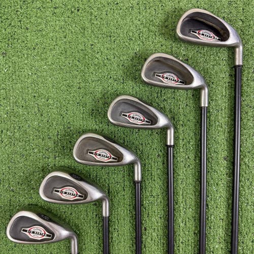 Callaway Big Bertha 2002 4-9 Iron Set RCH 75i Graphite Regular Flex +1 Long