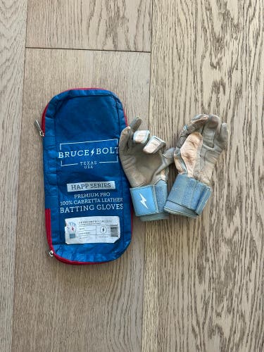 BRUCE BOLT Happ Series YM Batting Gloves (Used)