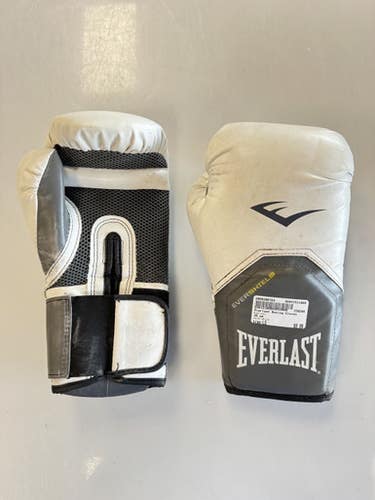 Used Everlast Boxing Gloves White LG 11860-S000306783