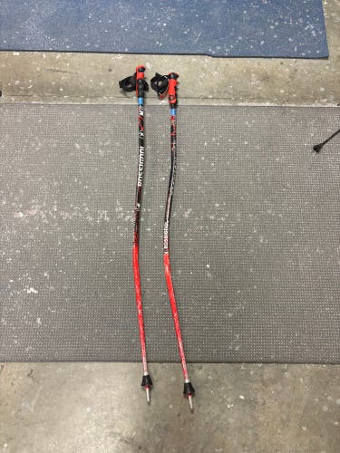 50in (125cm) Rossignol HERO GS/SG Racing Ski Poles (Used)