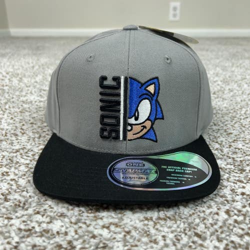 Sonic the Hedgehog Hat Cap Snap Back Mens Gray Black Embroidered Gaming Sega