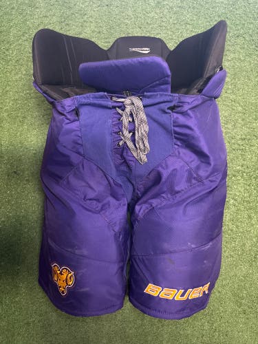 Bauer Hockey Pants (Purple/Gold)