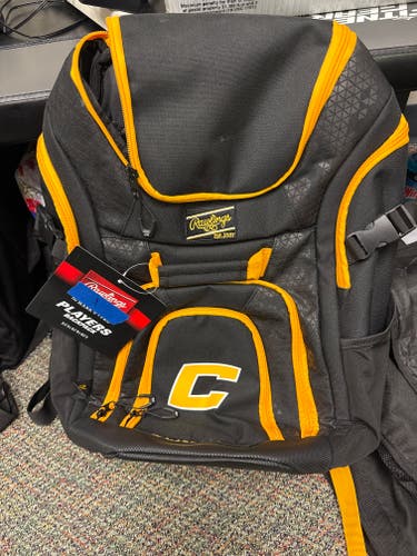 Rawlings Bat Bag (New)